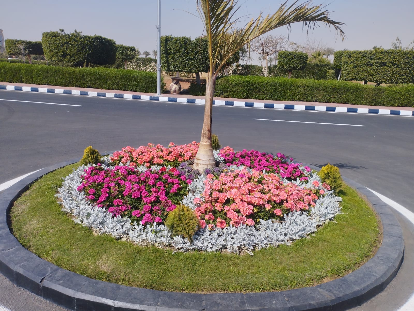 img 20240402 wa0020