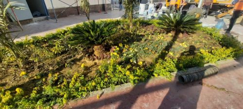 IMG-028-Copy