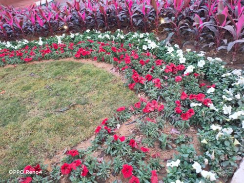 IMG-035-Copy