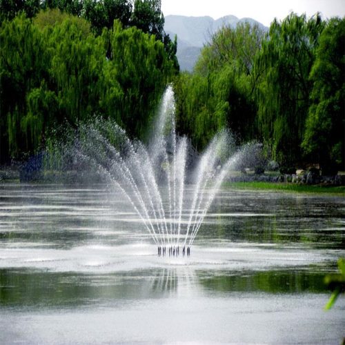 IMG-20211008-WA0003