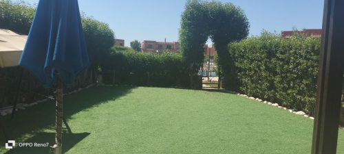 IMG-20230829-WA0016