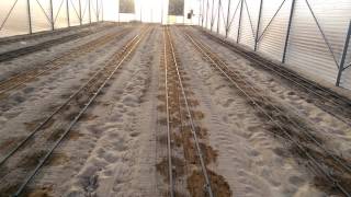 IMG-20220528-WA0004