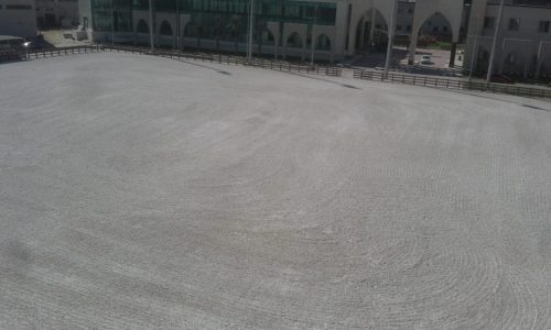 IMG-20211105-WA0012